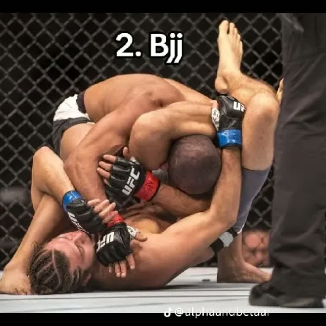 Post by Ahmed Moha: Fighting sport type BJJ