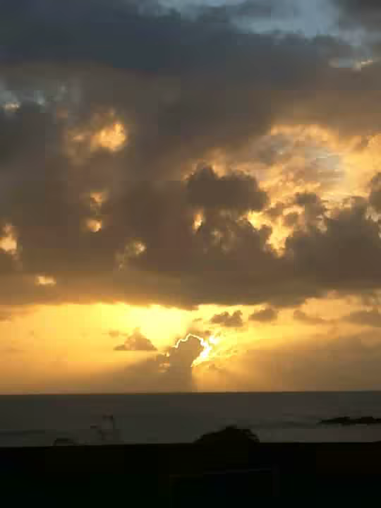 stannelee09