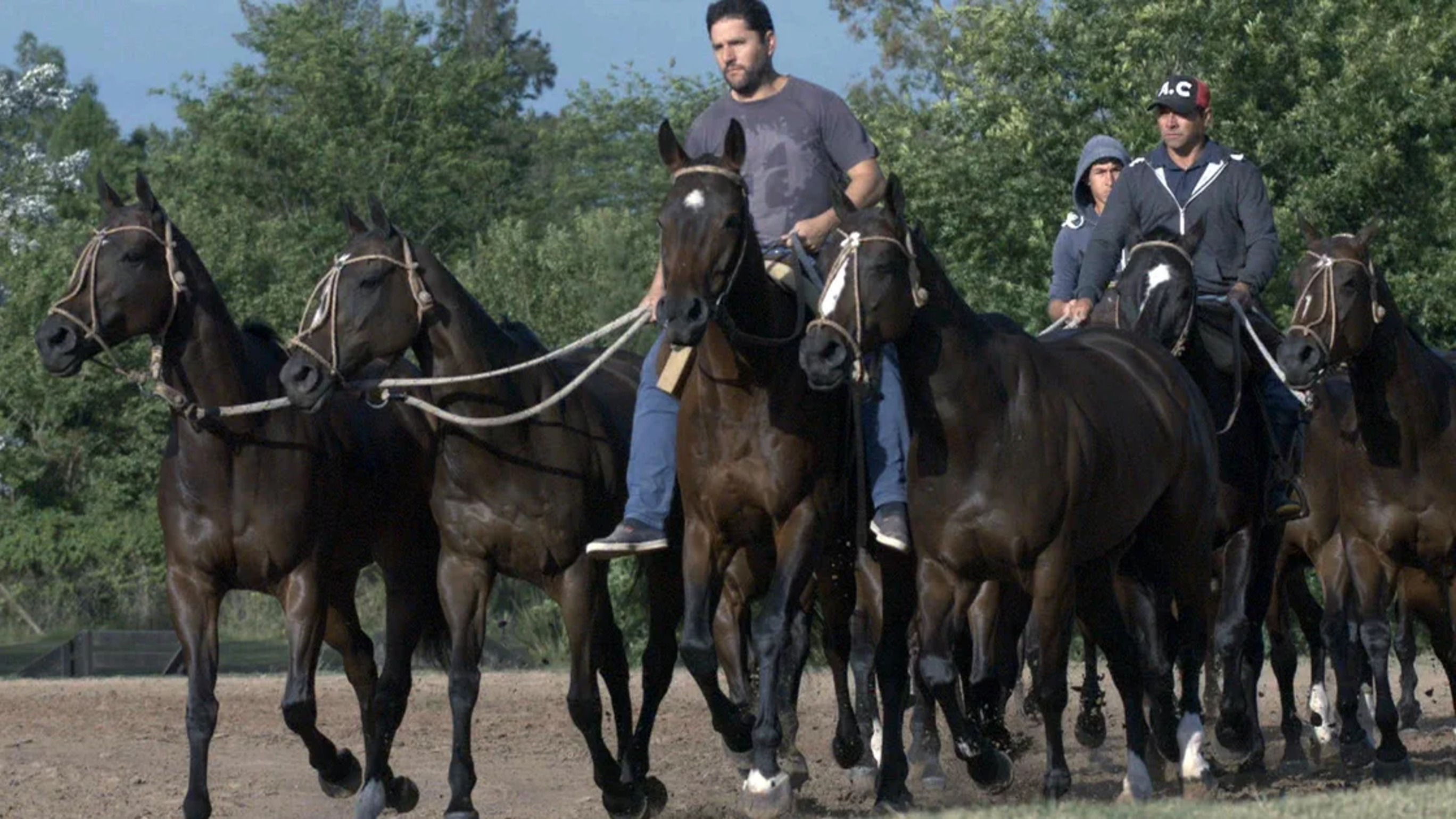 The Cloning Business That Already Reshaped Polo