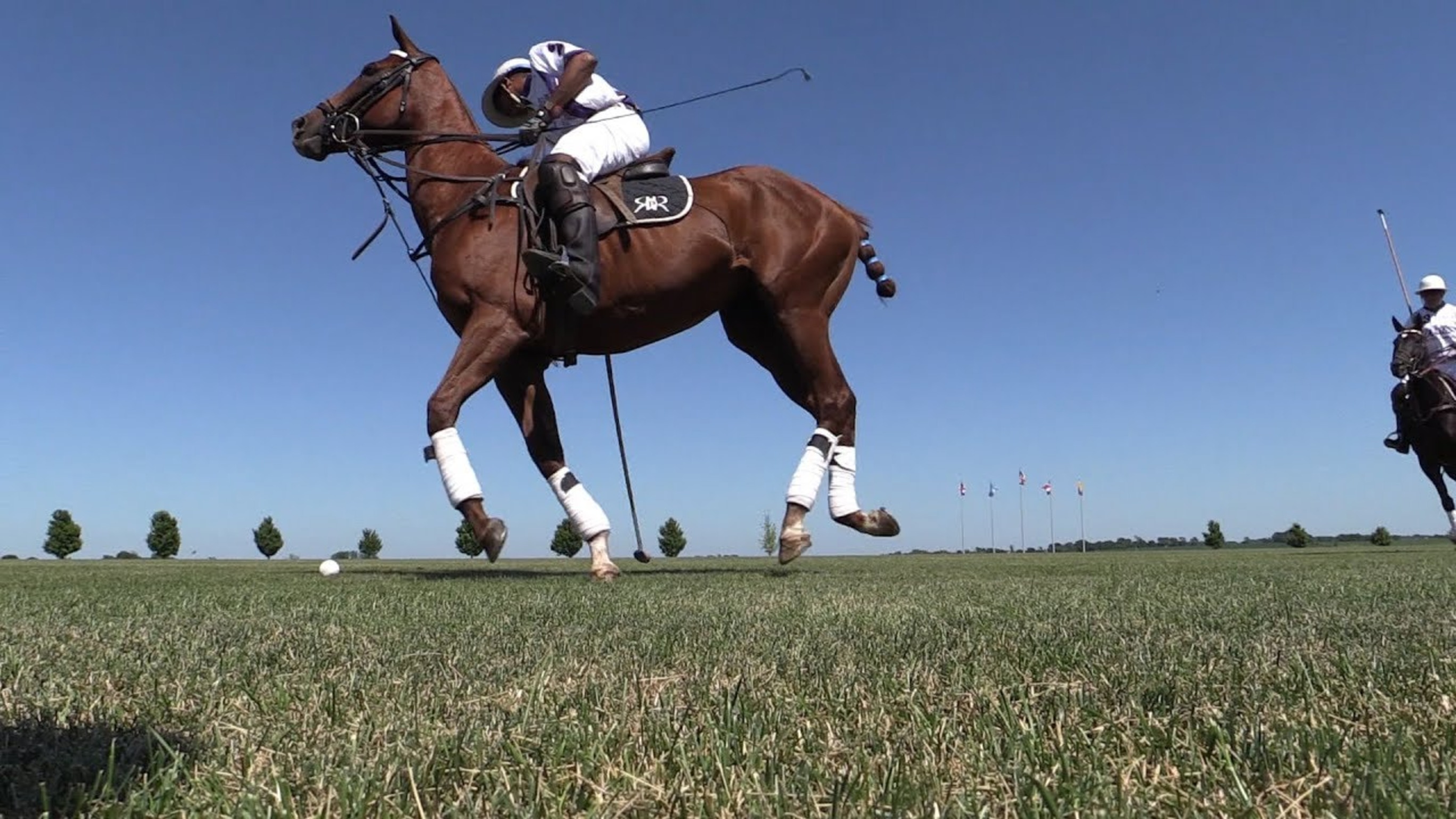 Polo Isn't Just a Sport. It's a Business Built Around Access