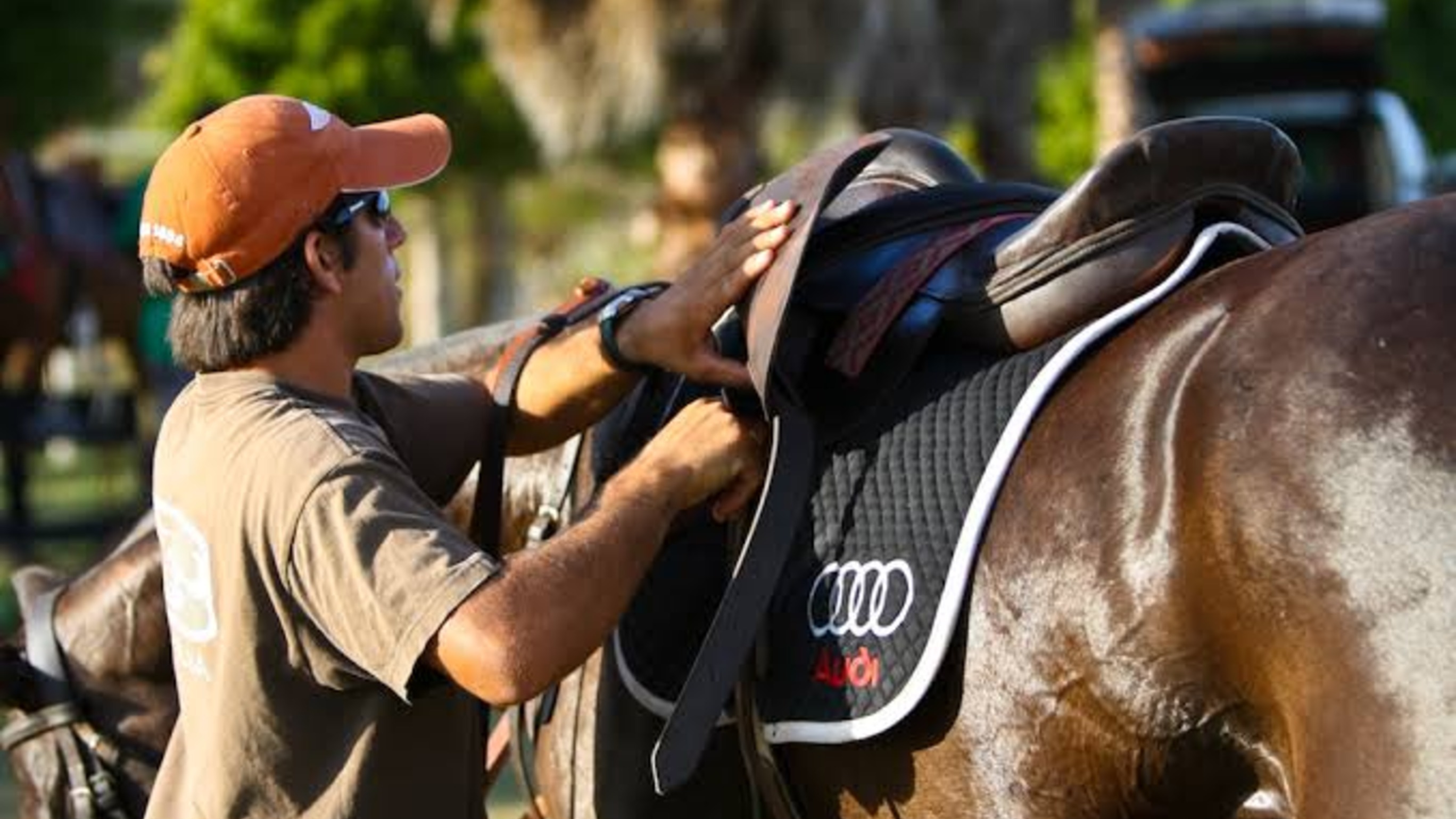 Polo's Most Important Player Doesn't Ride a Horse