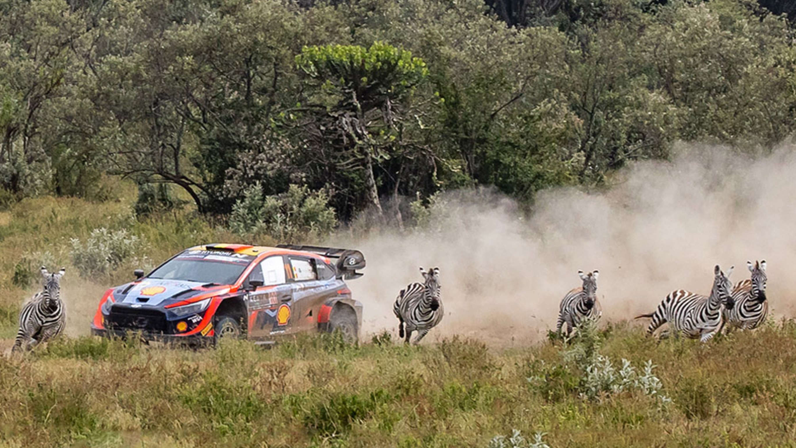 Why Rally Drivers Don’t Actually Race on the Same Track