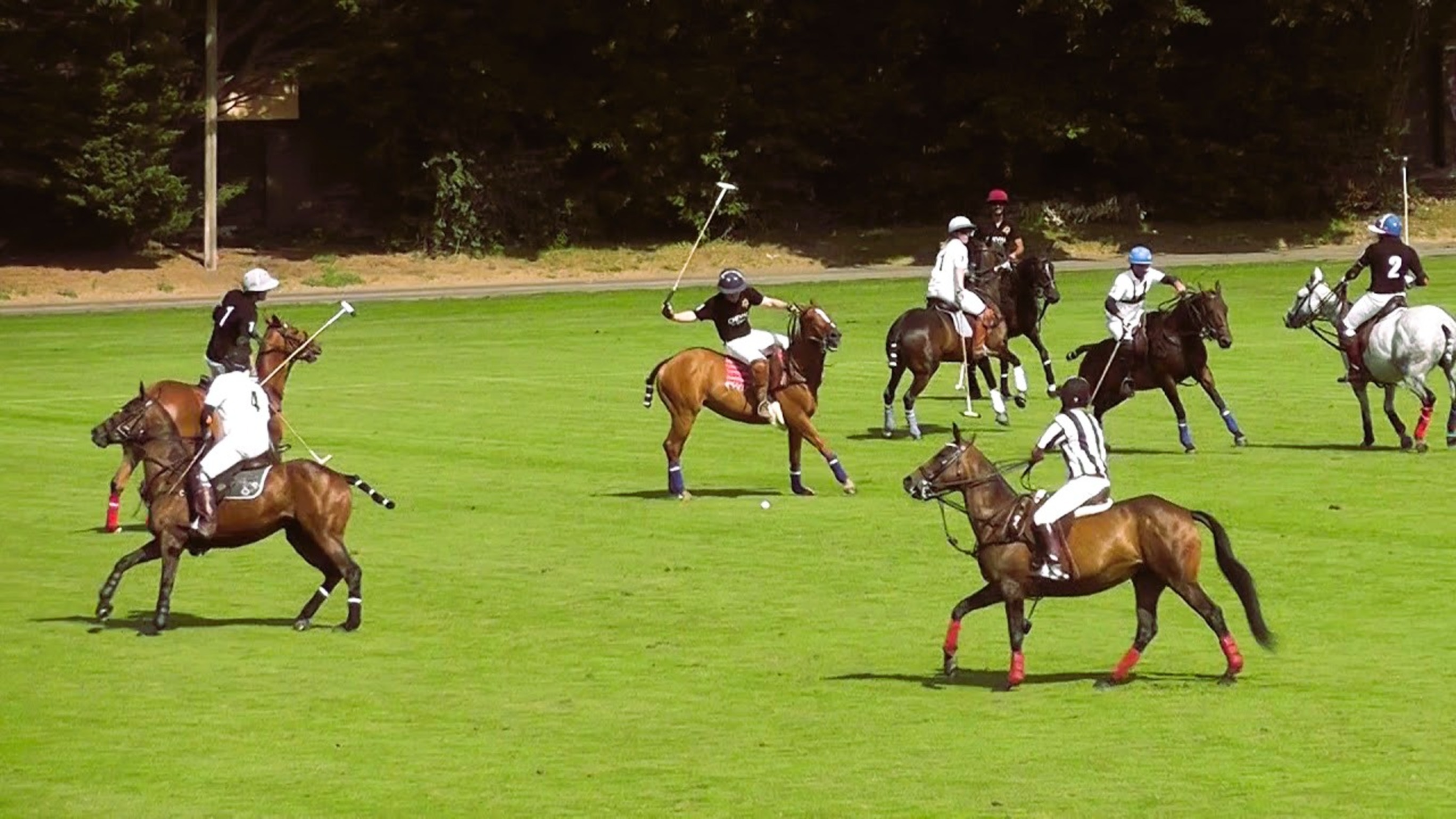 Why Polo Clubs Are Becoming More Like Lifestyle Brands 🐎