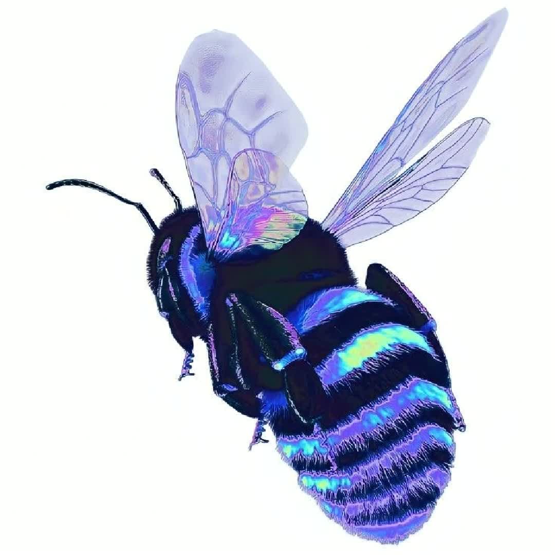 Post by NILOY PAUL: Bee @buzzer_fan_official #viral #Daily #fyp #buzzer #buzzer_fan_official #sports #football #soccer