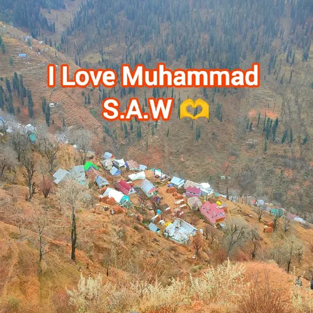 Post by Mohammad jibril: @yyyhen @merry3211 @darck6 @abduale @nizamelmulk @asegnew09 @patrickmolnar336 @ashu_tsegaye @yirgalemwo @goal.com...