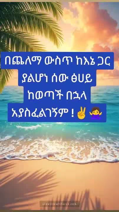 abdishaman955