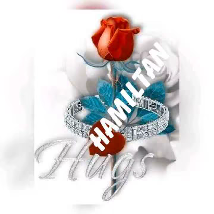 hamilton33
