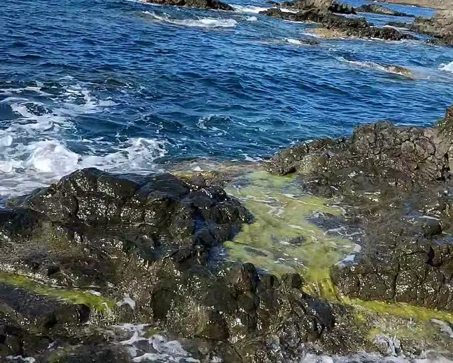 @nabiljijel