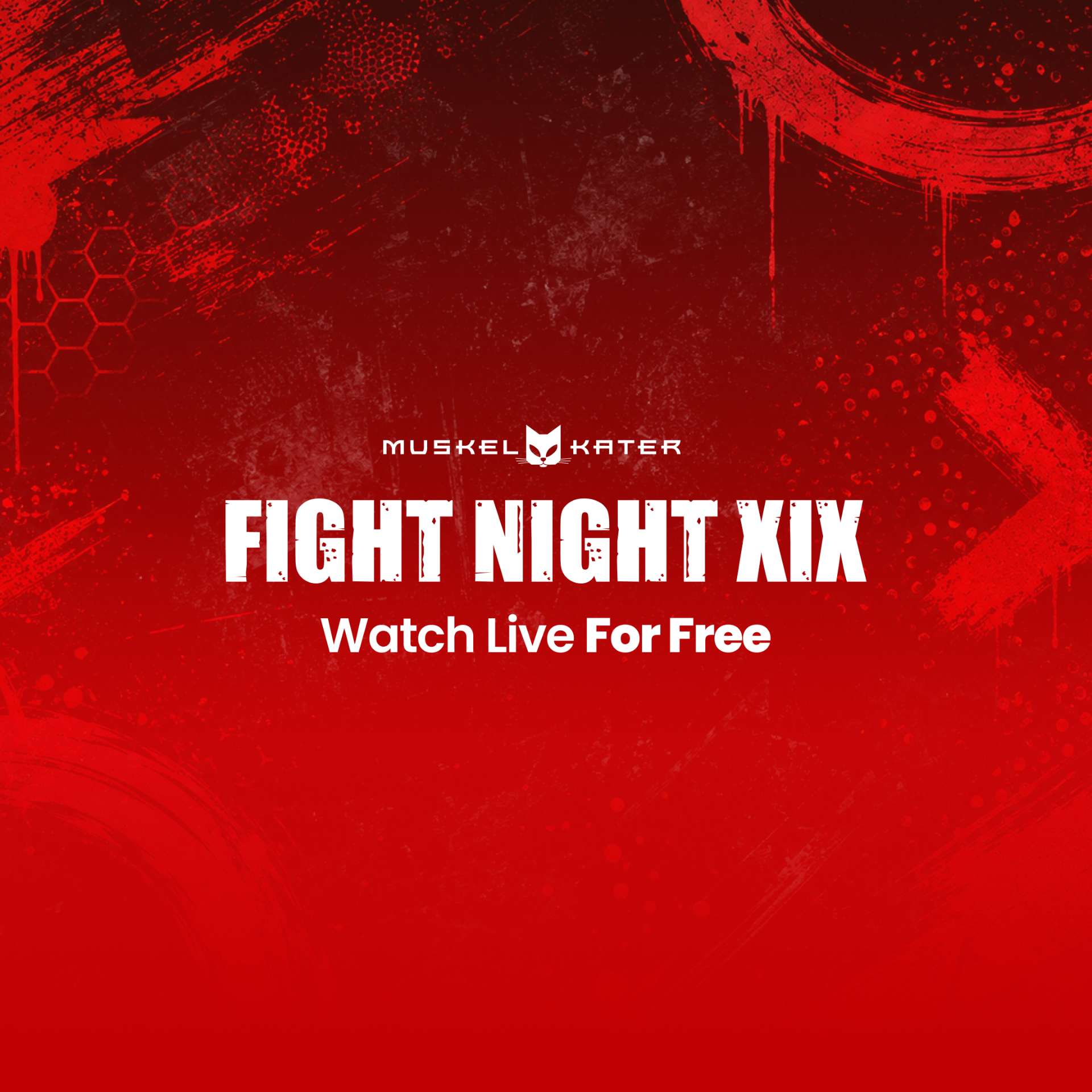 MUSKELKATER FIGHT NIGHT XIX – UNDERCARD